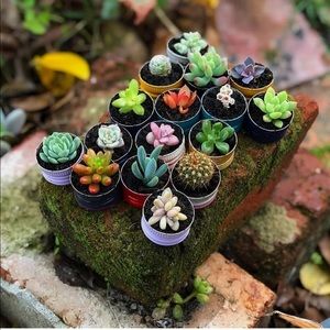 Meet your Posher, Austin